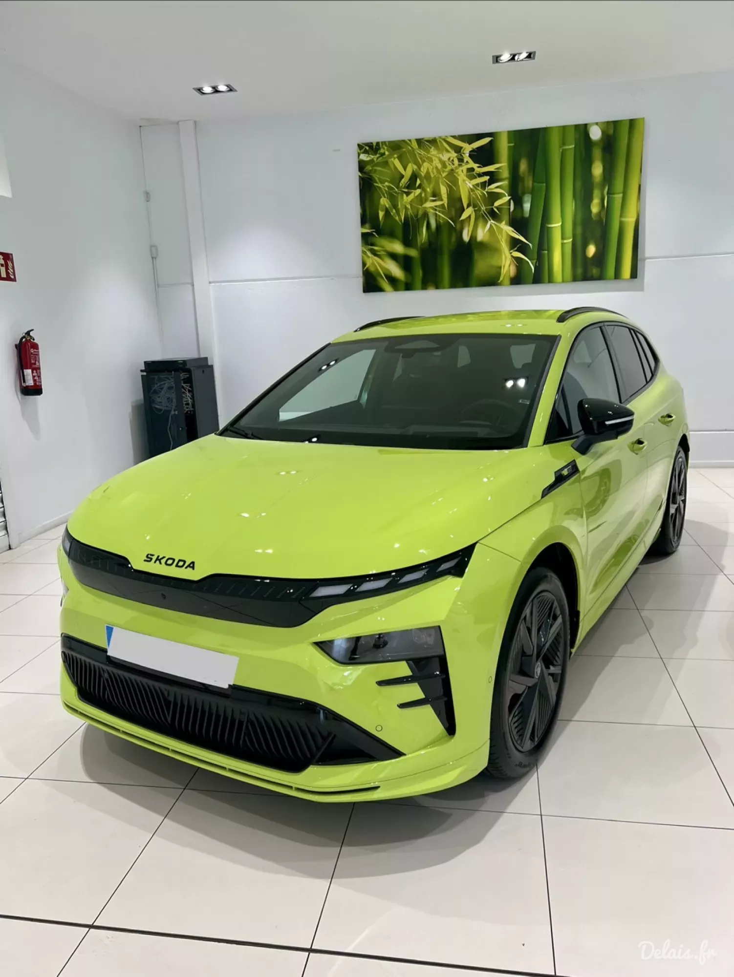 Škoda Enyaq Mamba Green RS