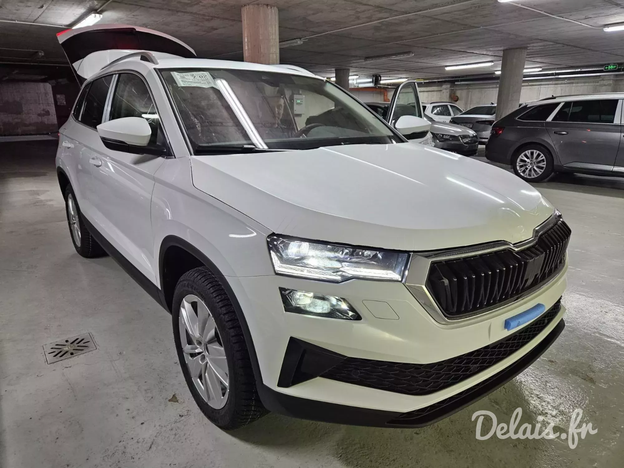 Škoda Karoq Moon White Style