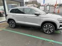 Škoda Karoq Brilliant Silver Ambition of TracyA