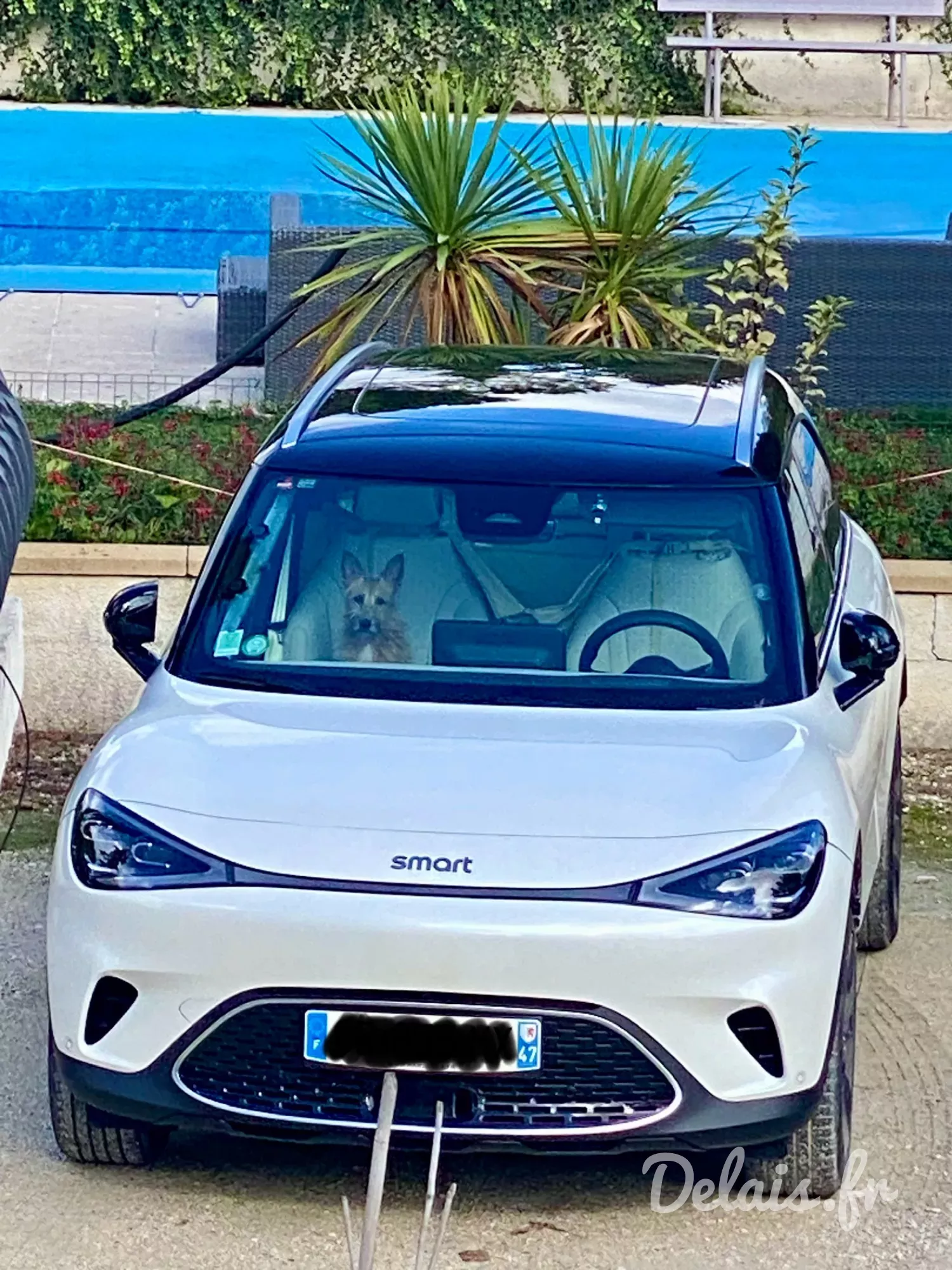 Smart #1 Grain White Premium