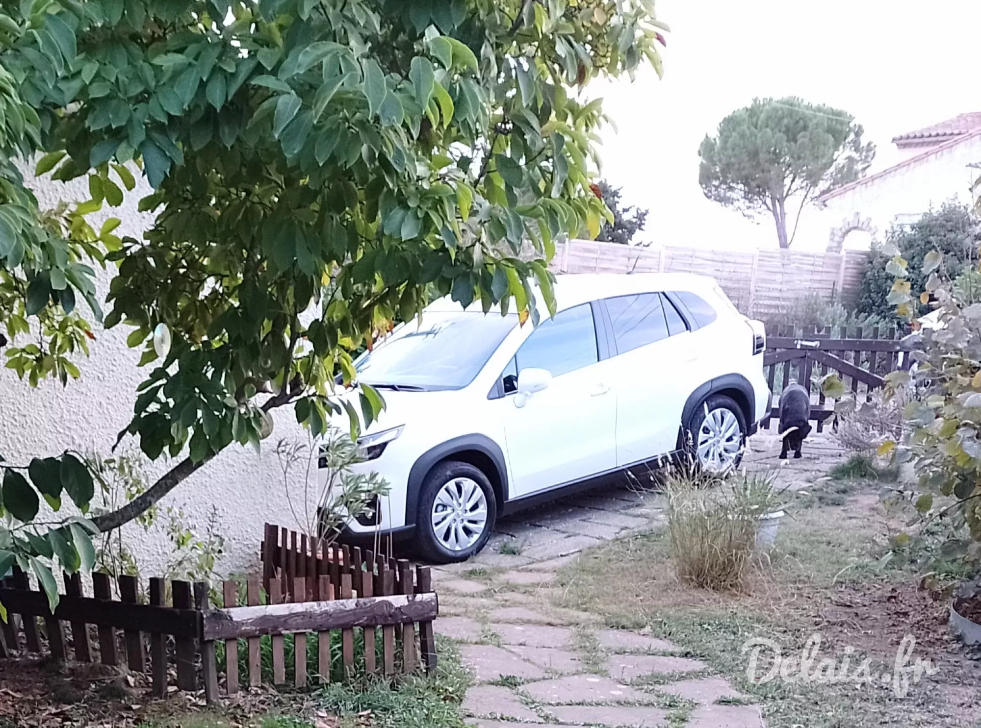 Suzuki S-Cross Solid White Privilège