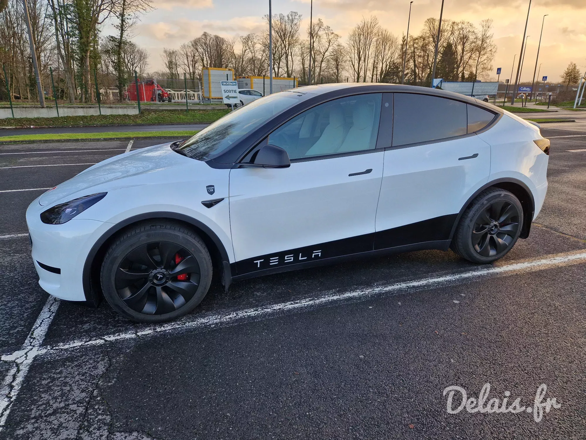 Tesla Model Y Pearl White Standard