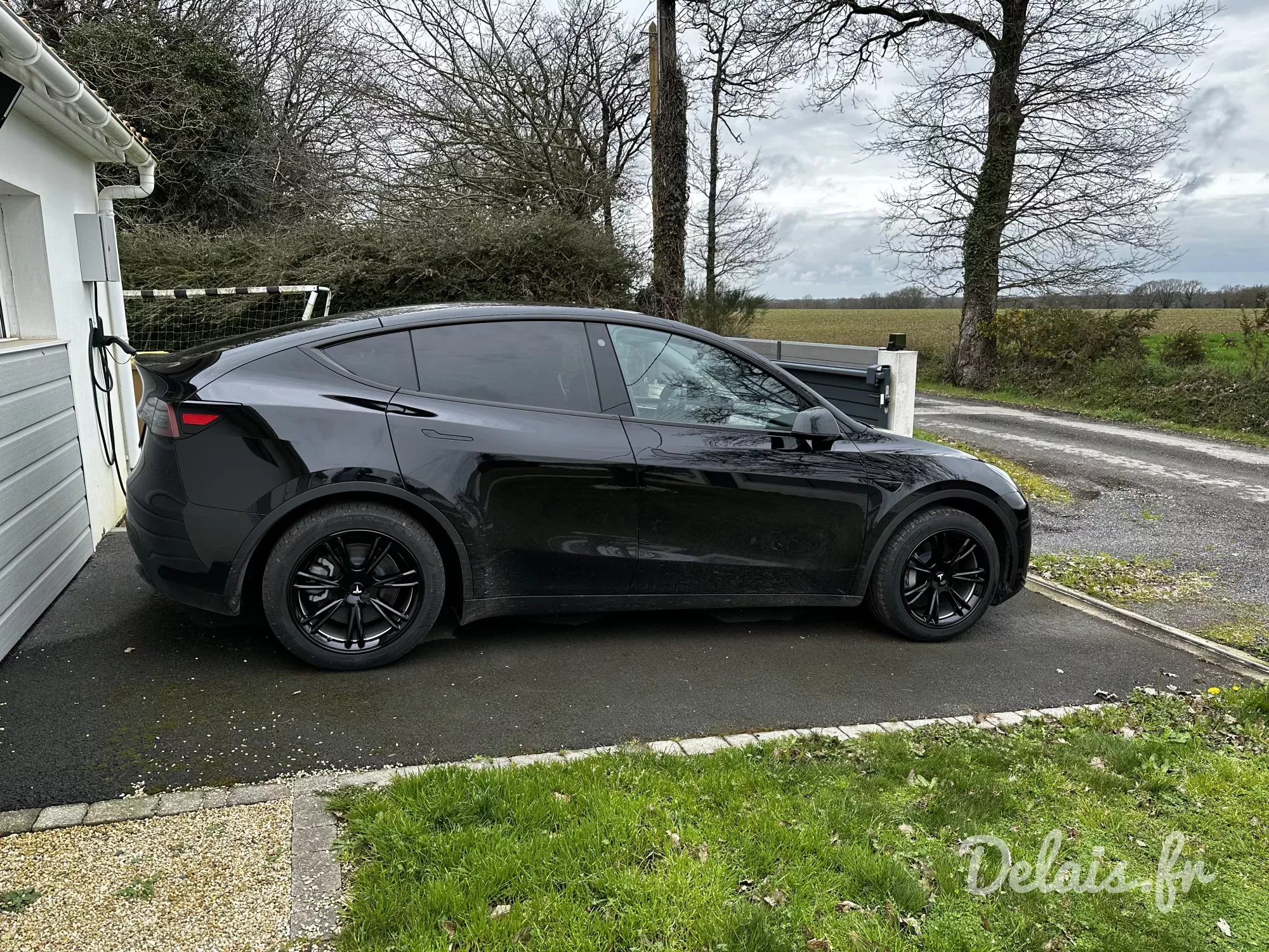 Tesla Model Y Solid Black Standard