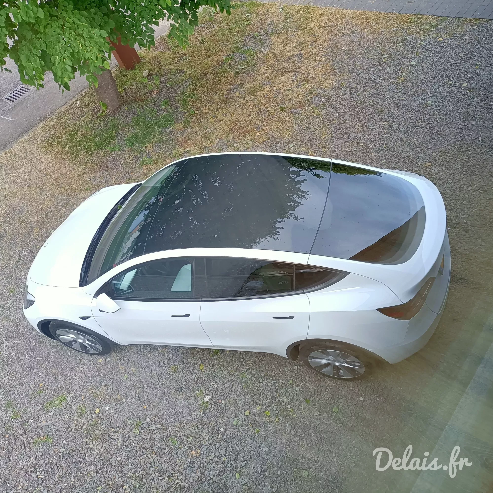 Tesla Model Y Pearl White Standard