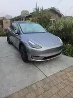 Model Y of T13