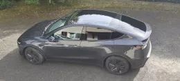 Model Y of fabadam