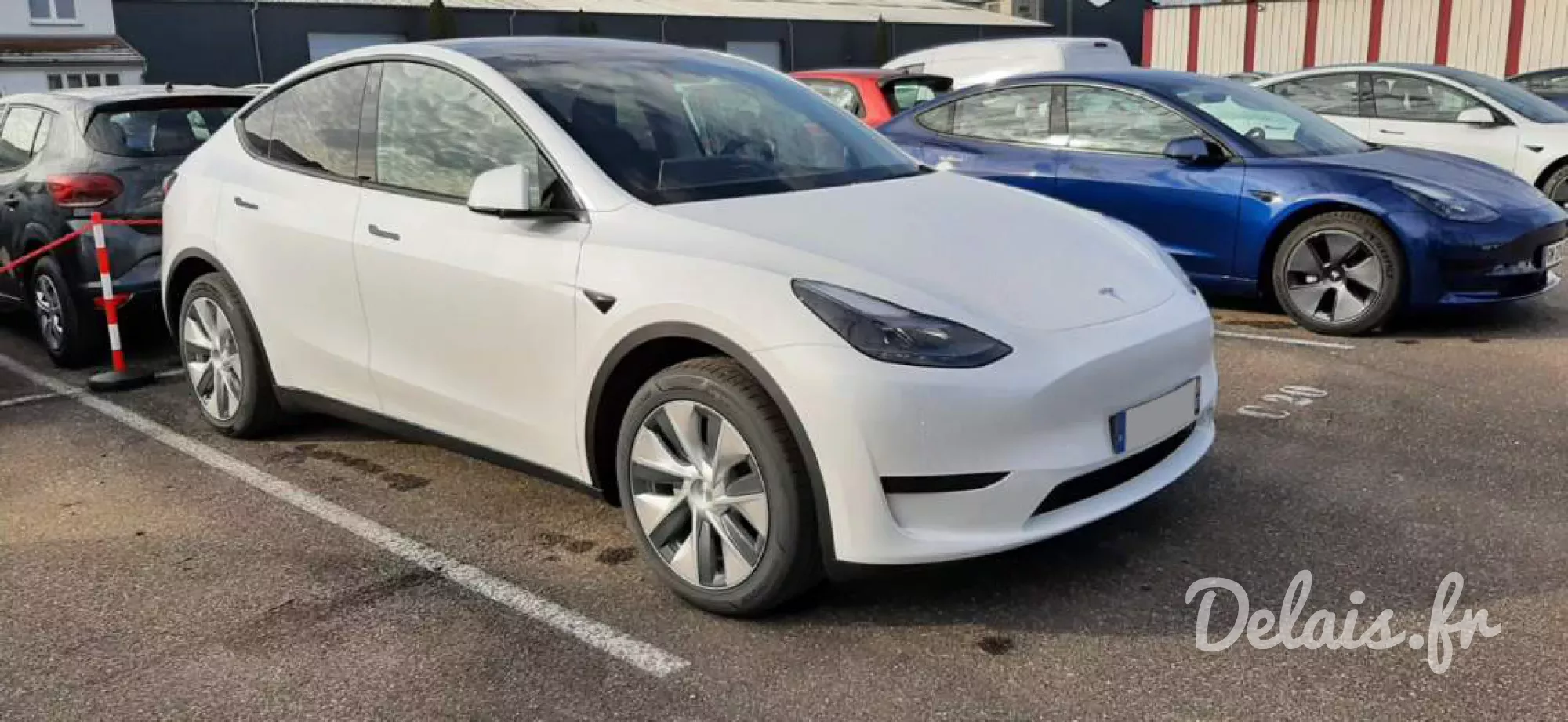 Tesla Model Y Pearl White Standard