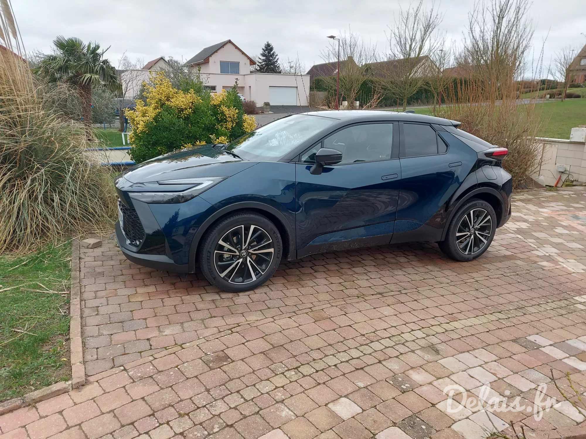 Toyota C-HR Bleu Persan Collection Première
