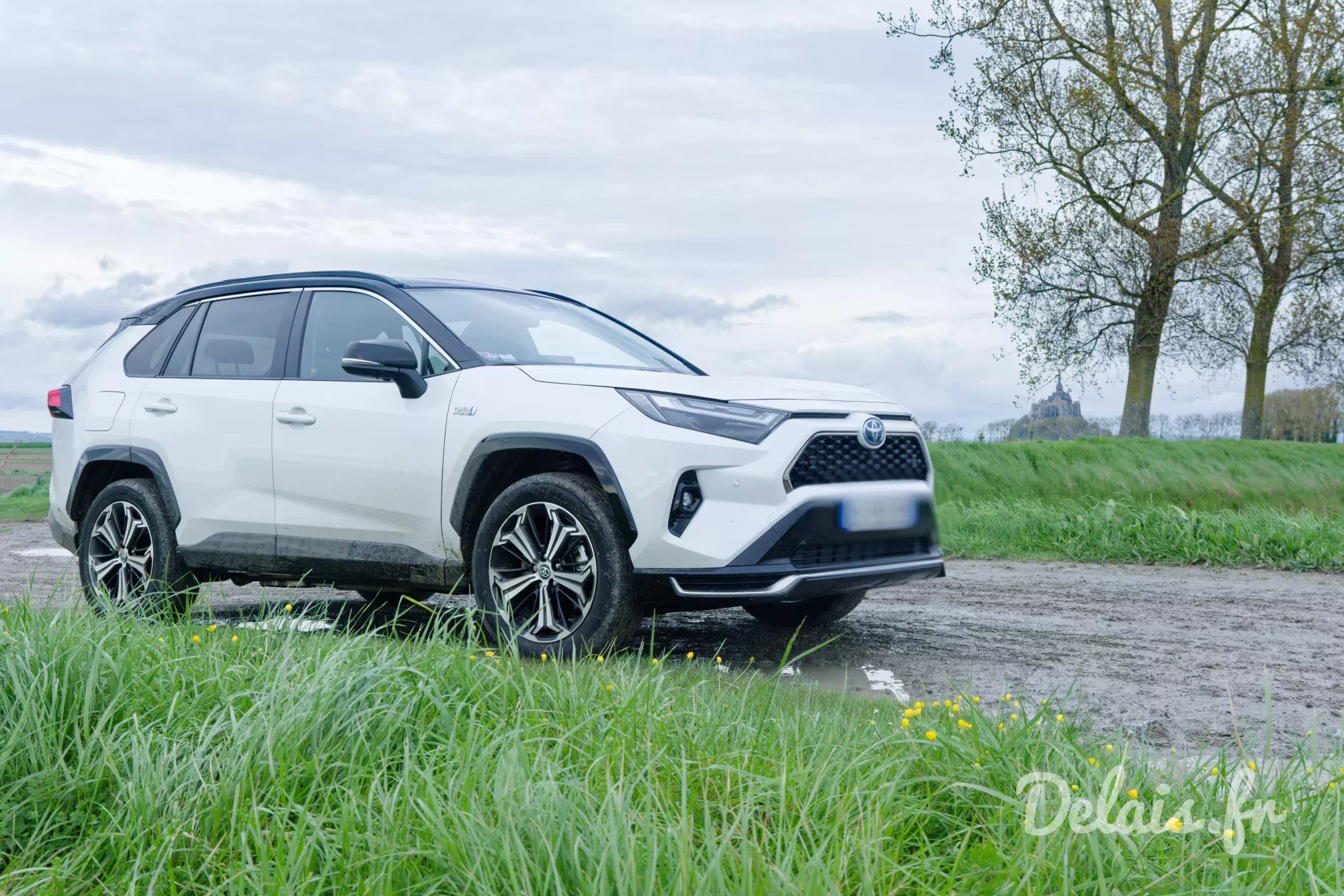 Toyota RAV4 Blanc Lunaire Collection