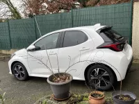 Toyota Yaris Blanc Pur Design of Romanp