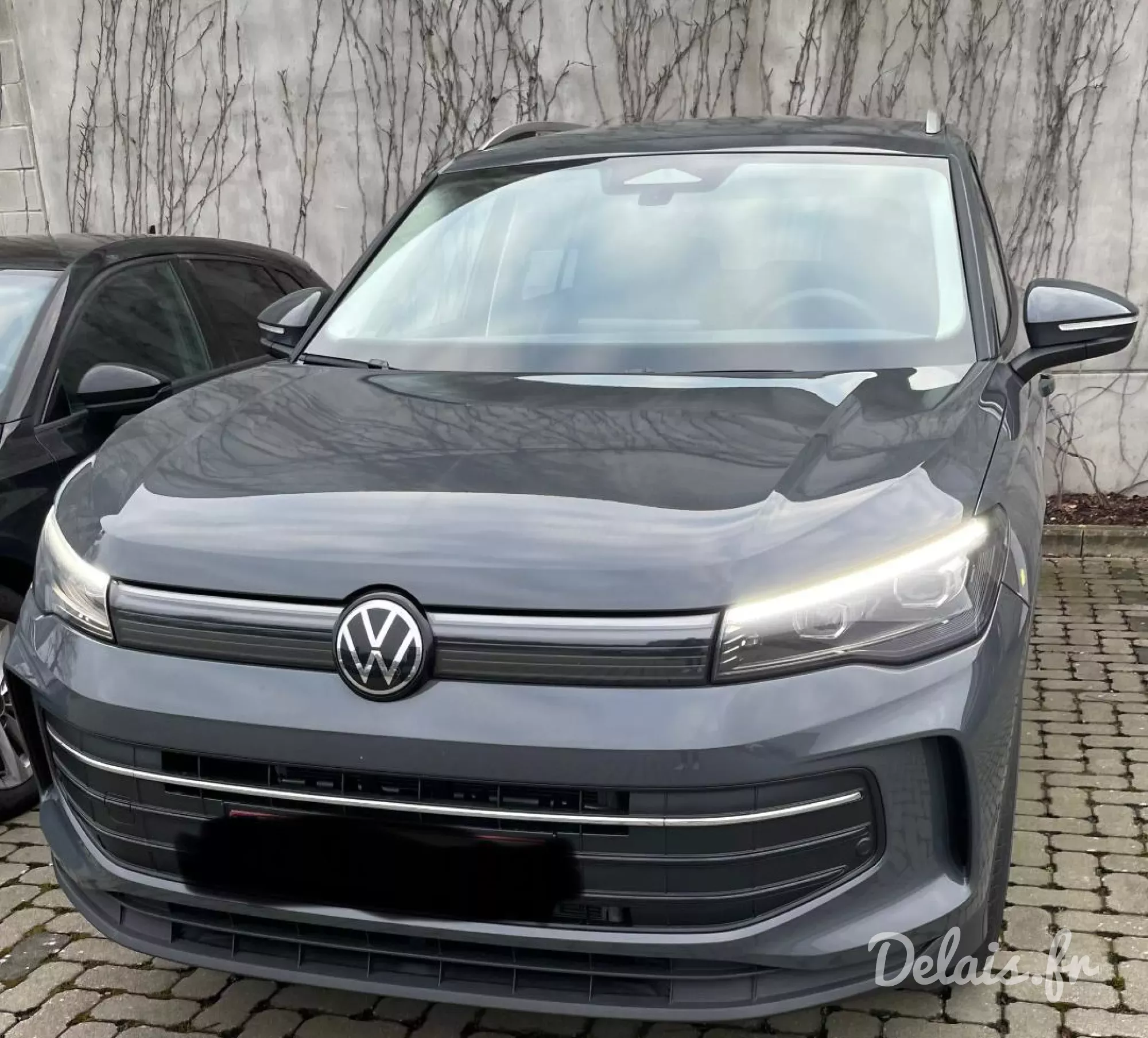 Volkswagen Tiguan Dolphin Grey Life Business