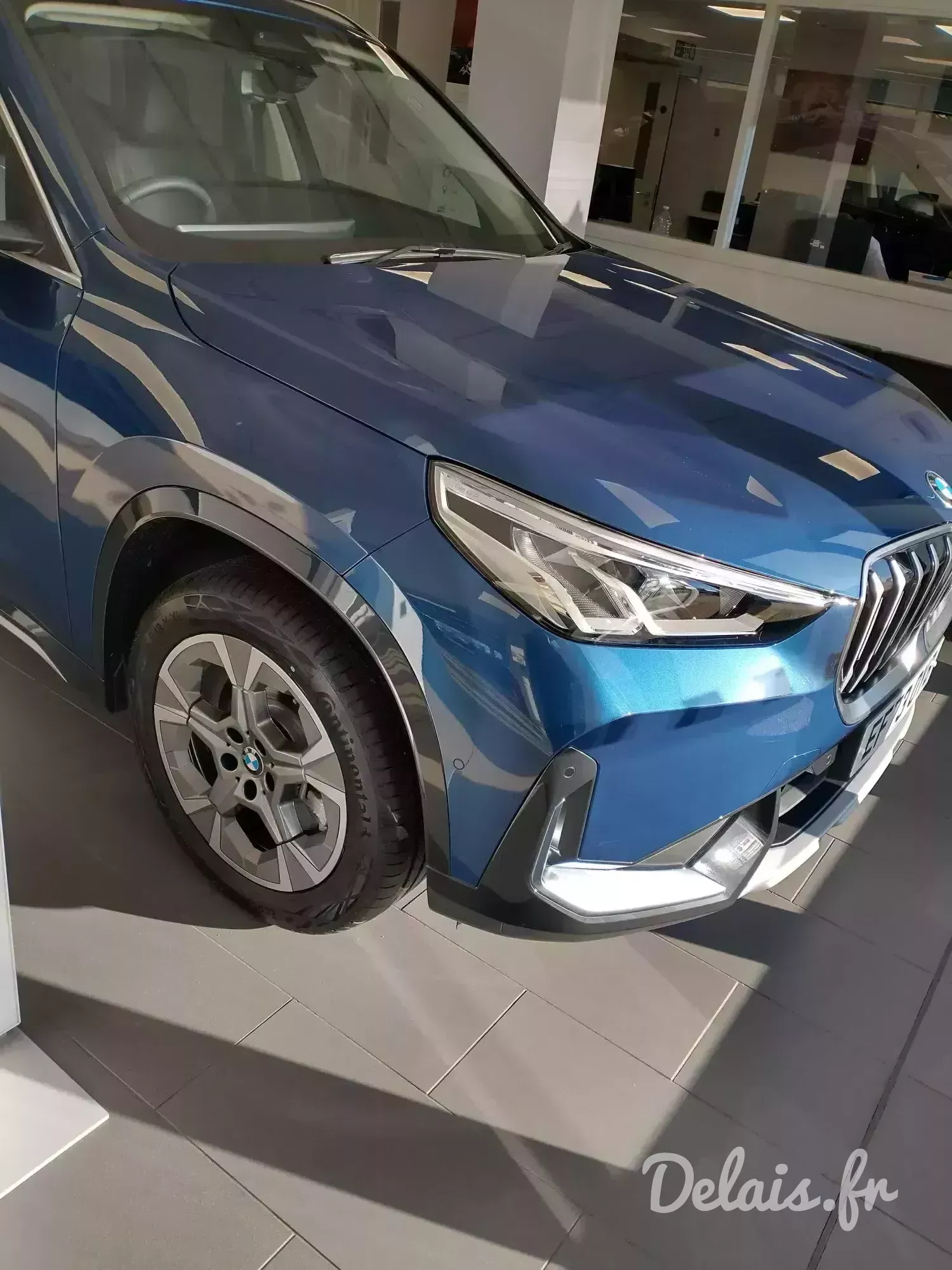 BMW X1 Phytonicblau X1