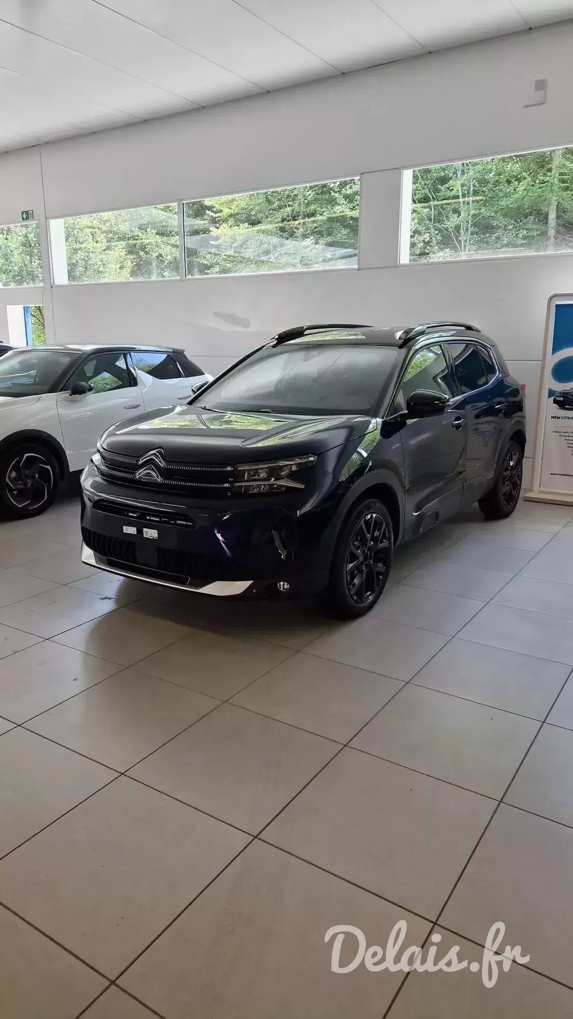 Citroën C5 Aircross Bleu Eclipse Shine