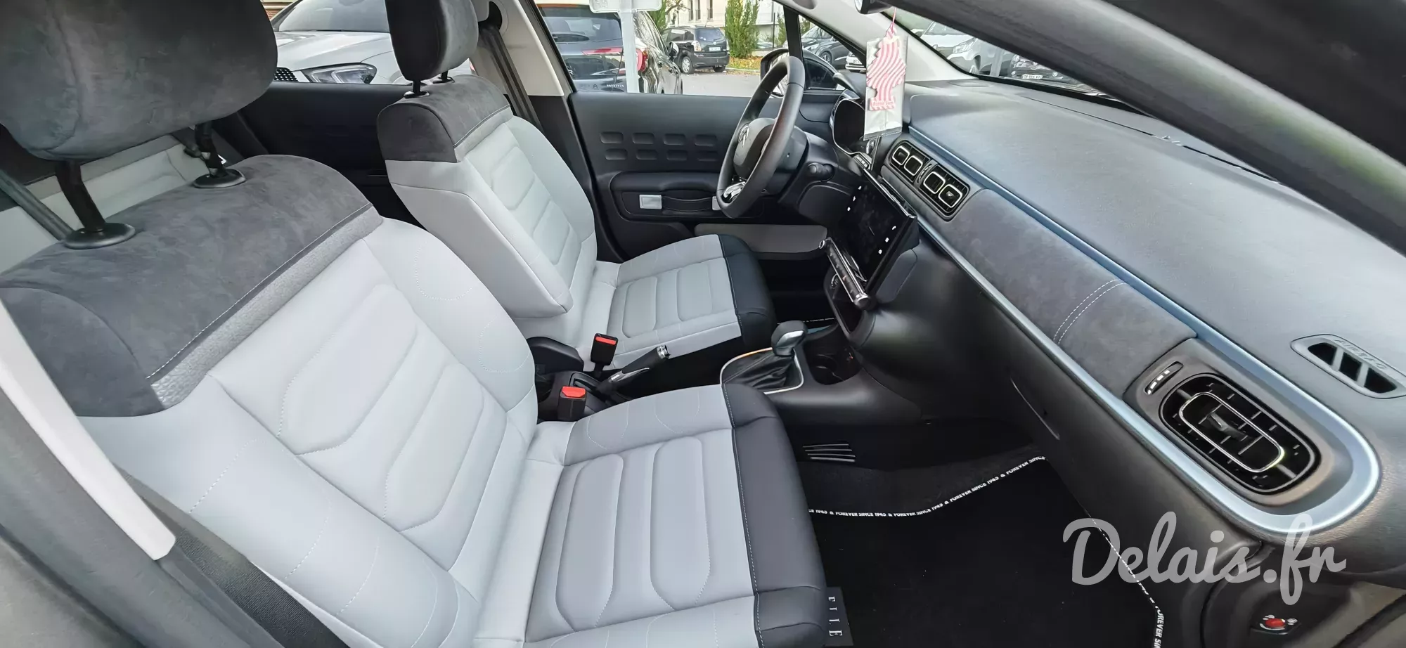 Citroën C3 Gris Platinium Elle