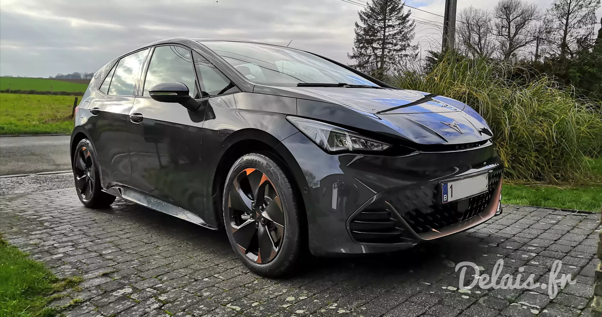 Cupra Born Gris Quasar V
