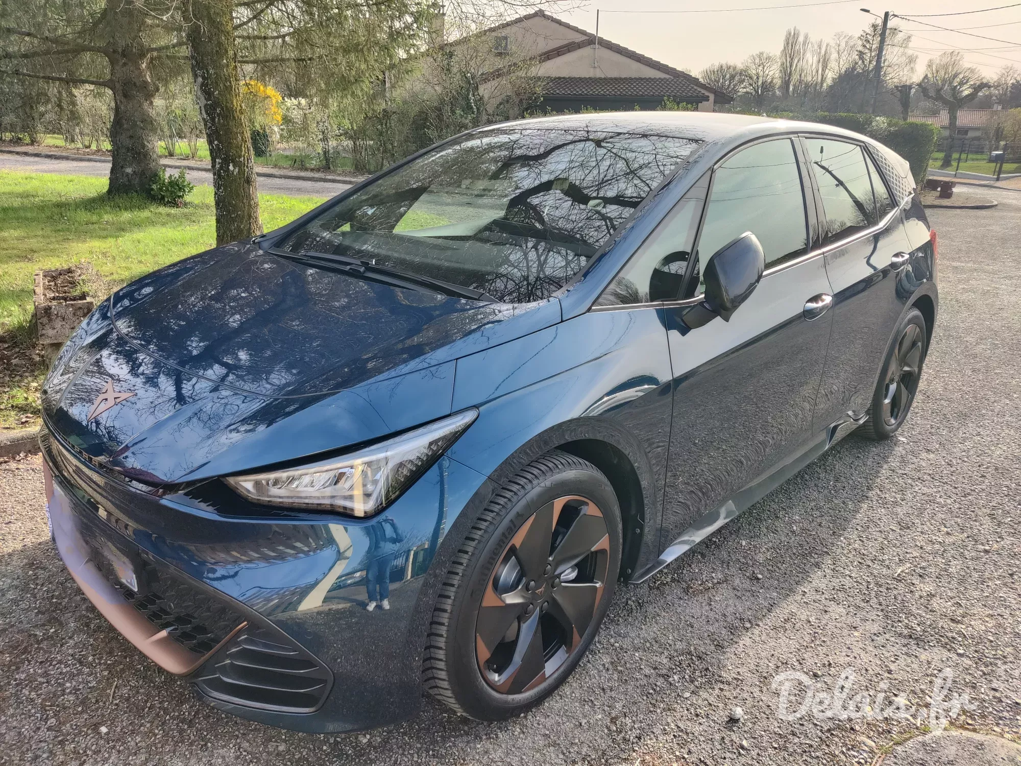 Cupra Born Bleu Aurore V