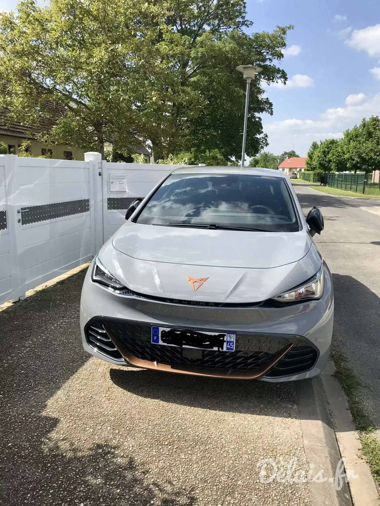 Cupra Born Gris Brume VZ