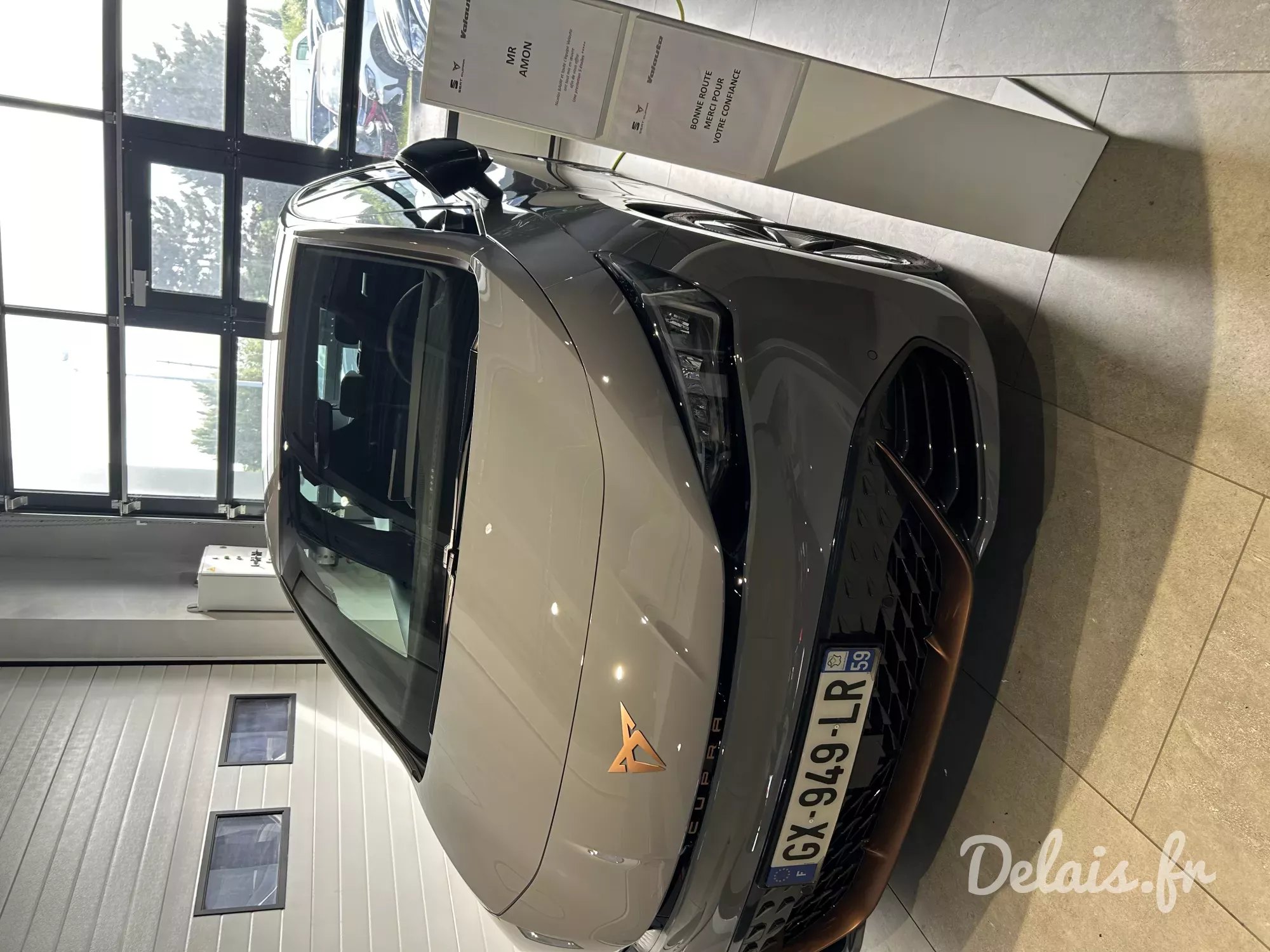 Cupra Born Gris Brume V