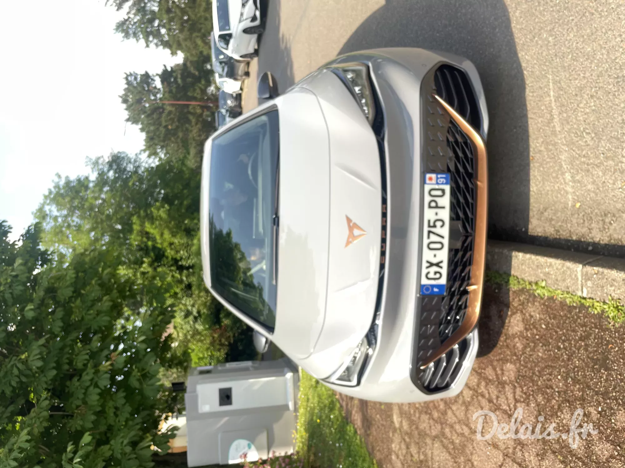 Cupra Born Gris Brume V