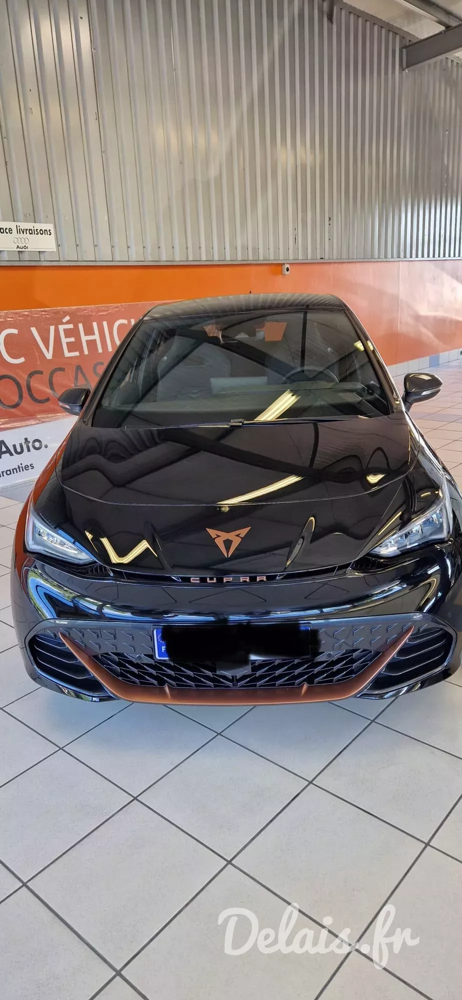 Cupra Born Gris Quasar VZ