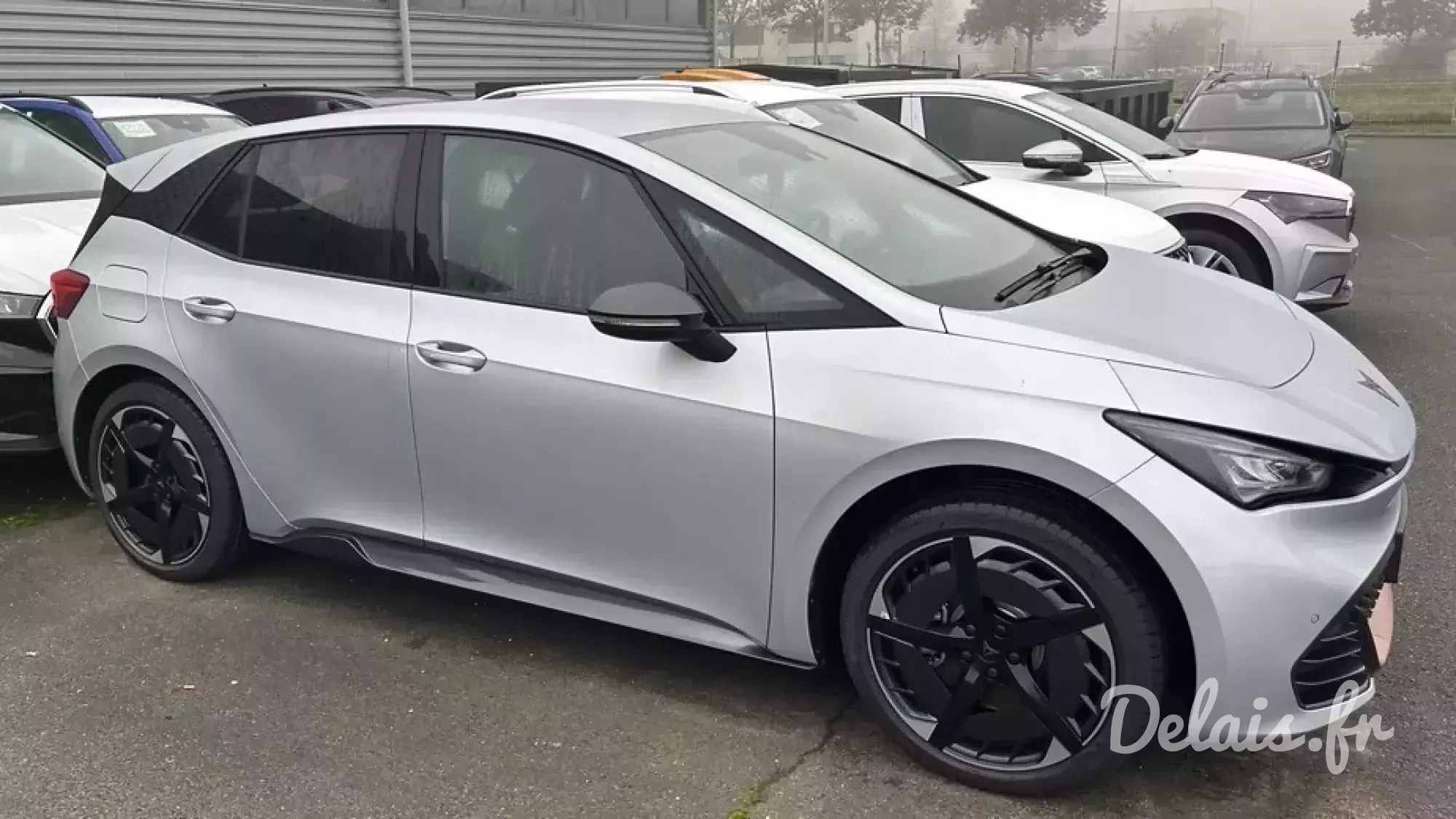 Cupra Born Argent Geyser VZ