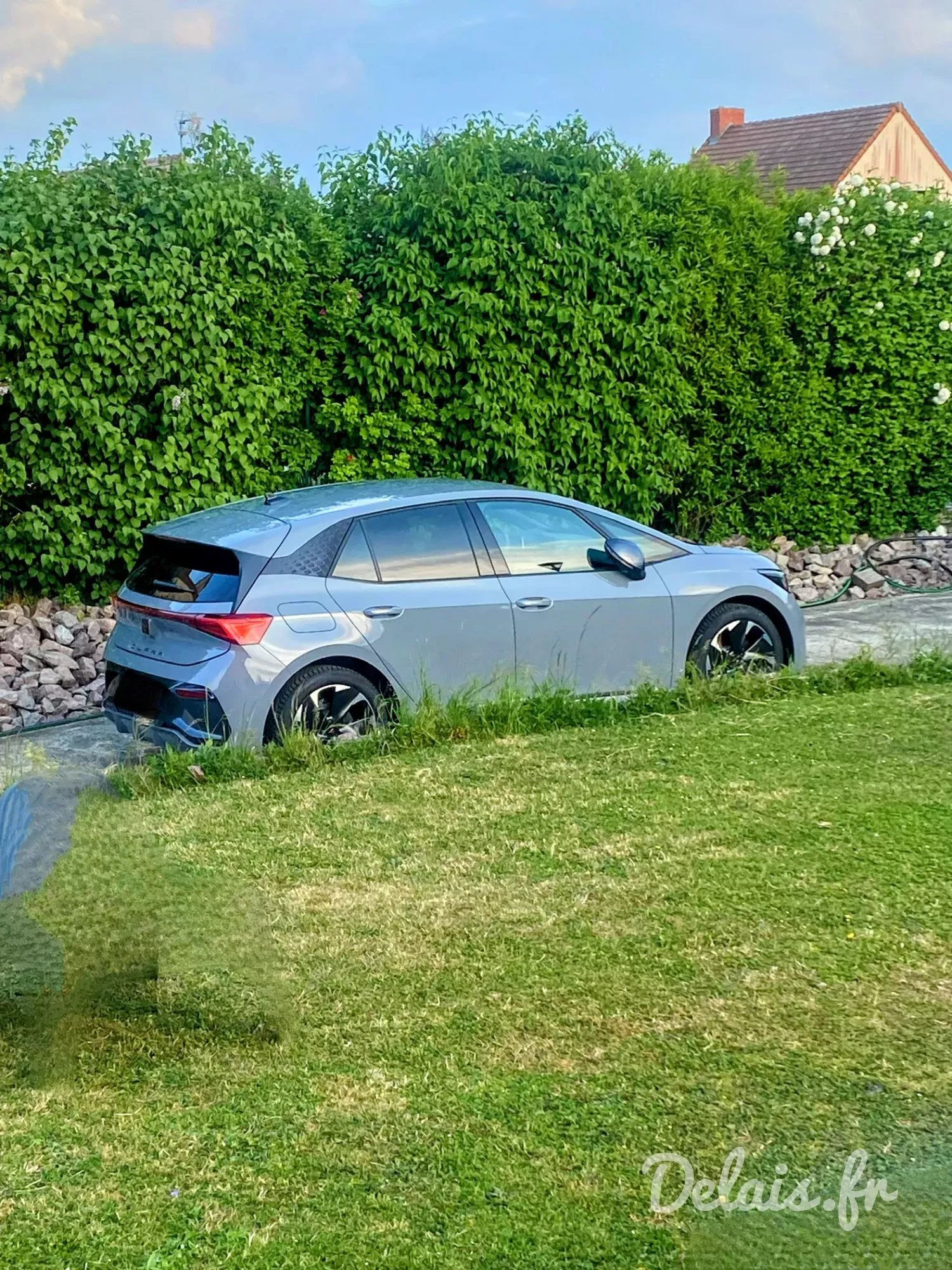 Cupra Born Gris Brume V