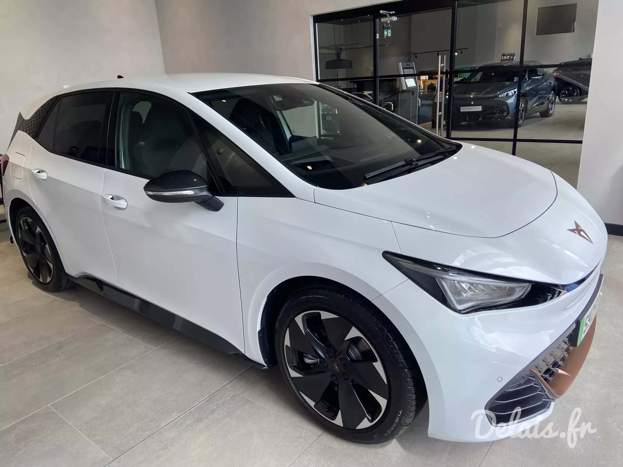 Cupra Born Blanc Nevada V2