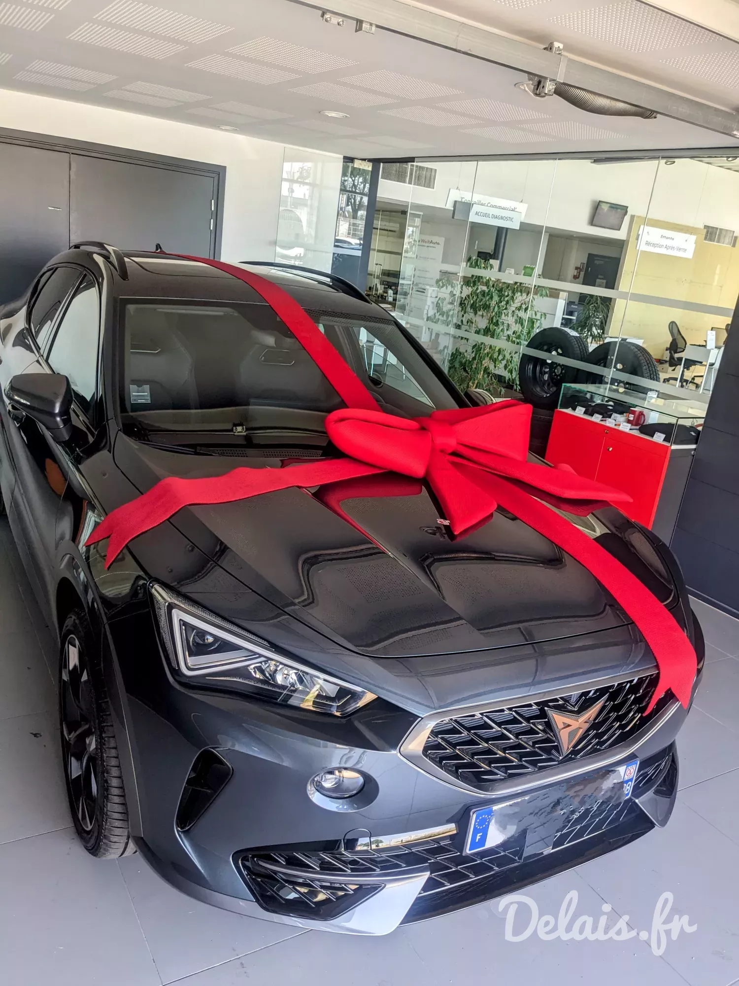 Cupra Formentor Gris Magnétique VZ Line