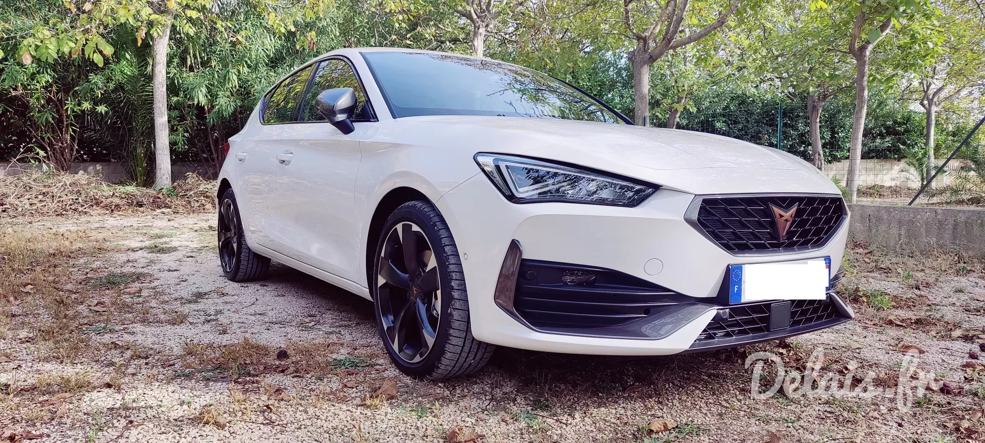 Cupra Leon Blanc Candy V