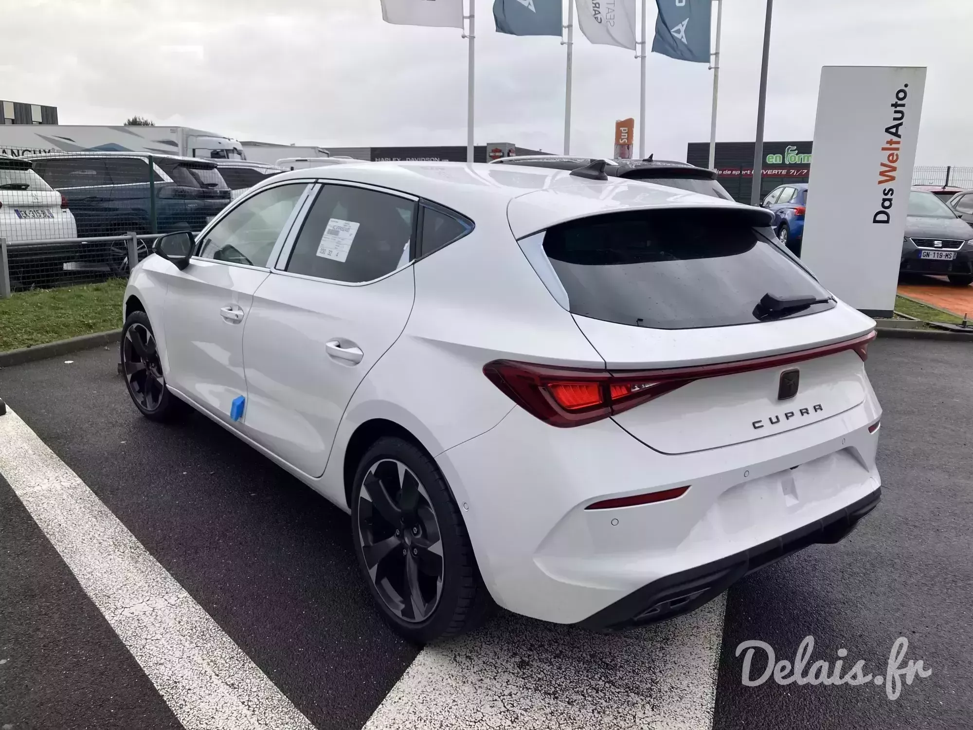 Cupra Leon Blanc Candy V