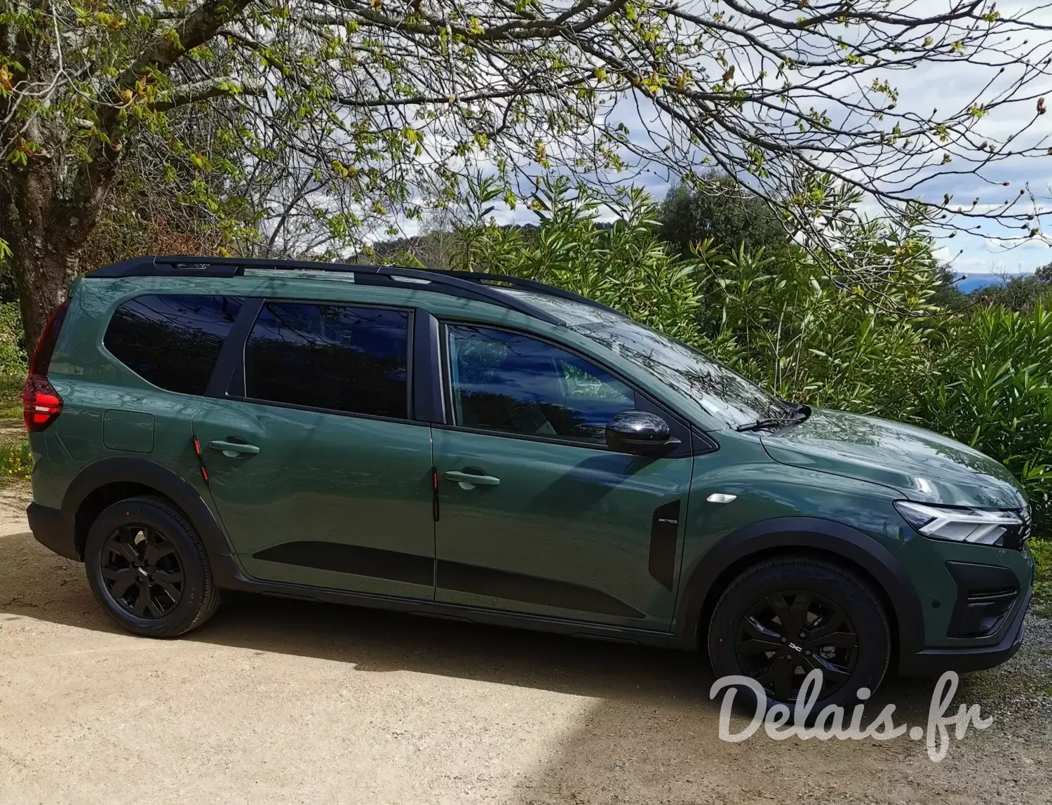 dacia jogger vert kaki