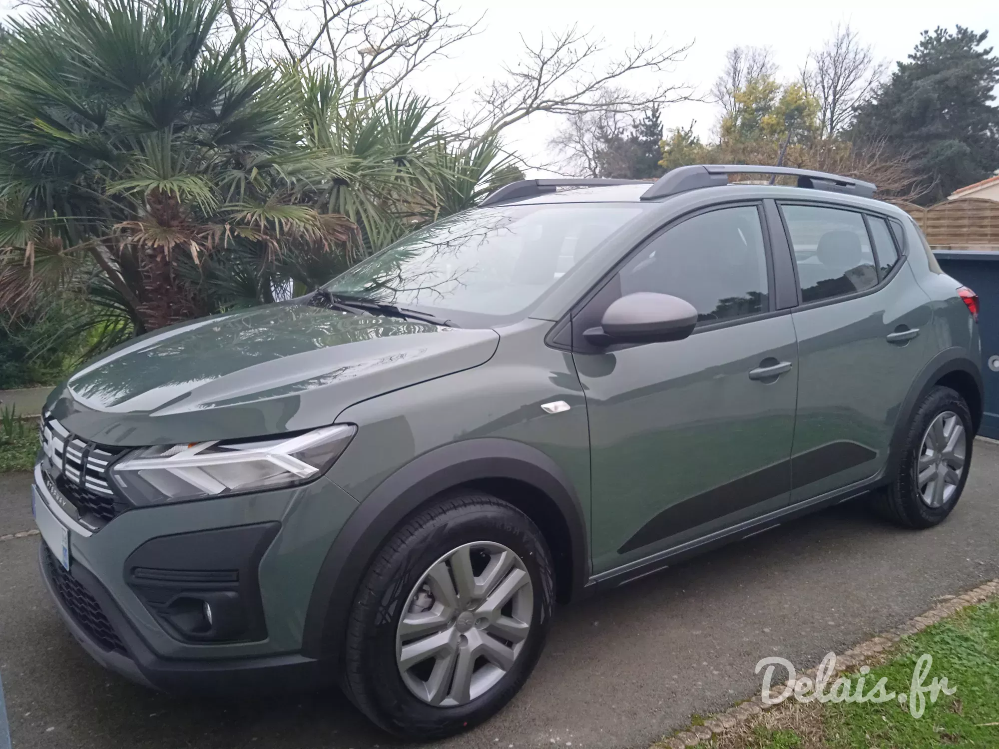 Dacia Sandero Kaki Lichen Stepway Expression