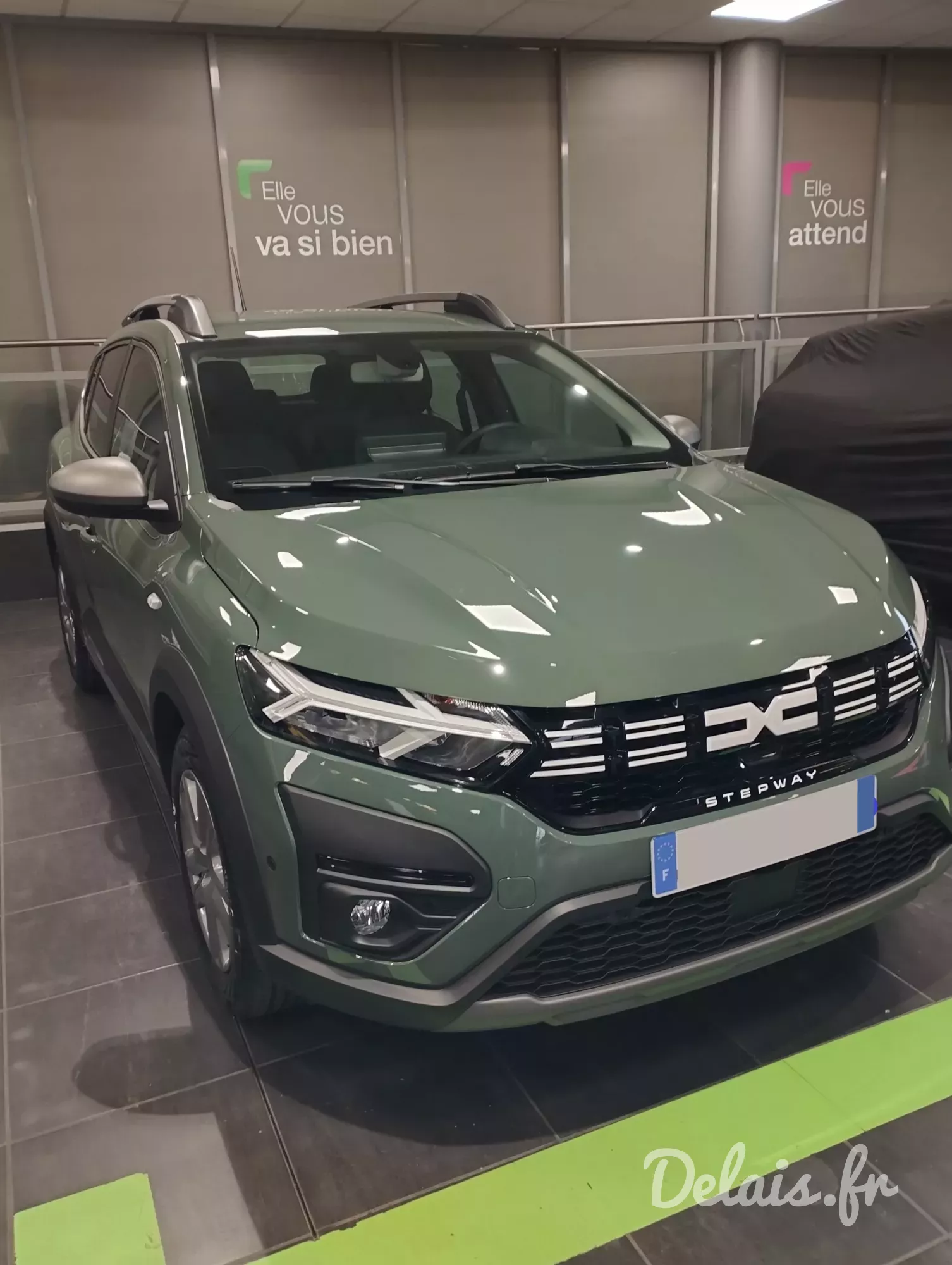Dacia Sandero Kaki Lichen Stepway Expression