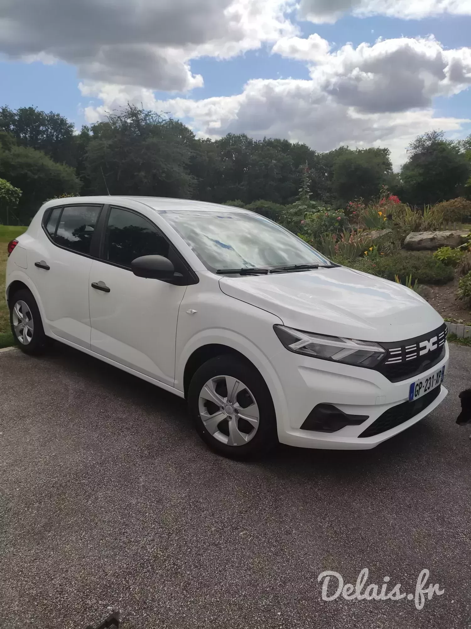 Dacia Sandero Blanc Glacier Essential