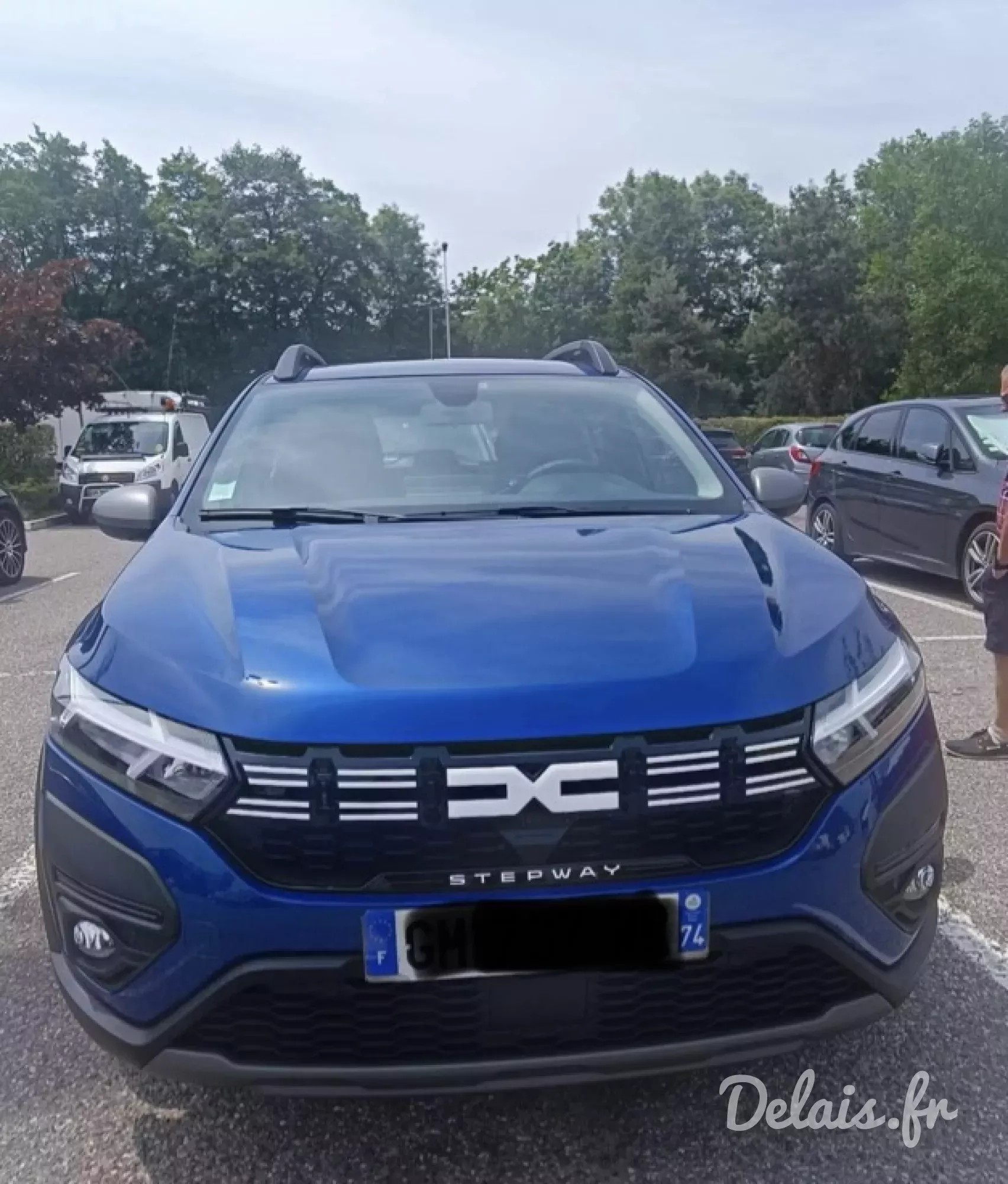 Dacia Sandero Bleu Iron Stepway Expression