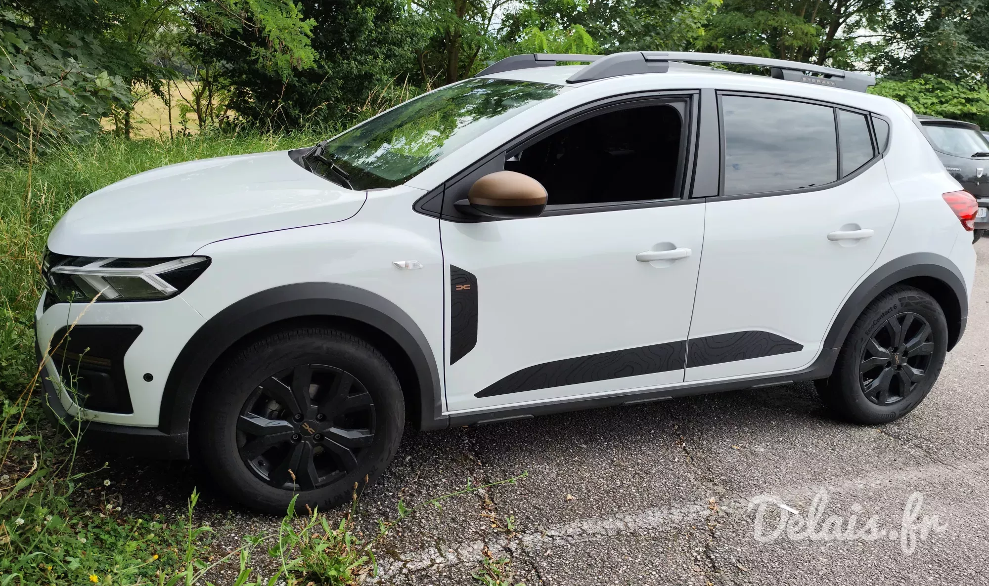 Dacia Sandero Blanc Glacier Stepway Extreme
