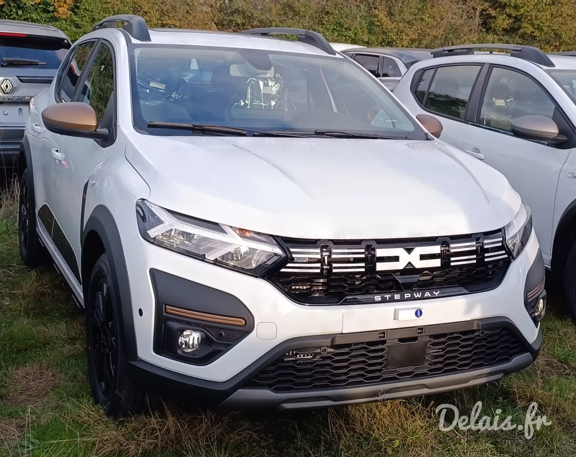Dacia Sandero Blanc Glacier Stepway Extreme