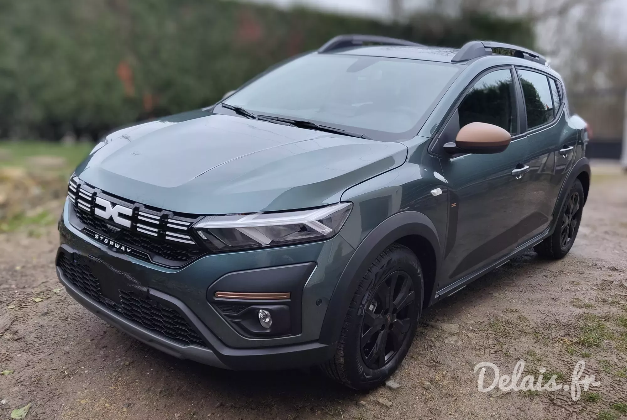 Dacia Sandero Vert Cèdre Stepway Extreme +