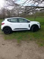Dacia Sandero Blanc Glacier Stepway Extreme de REGGAE45