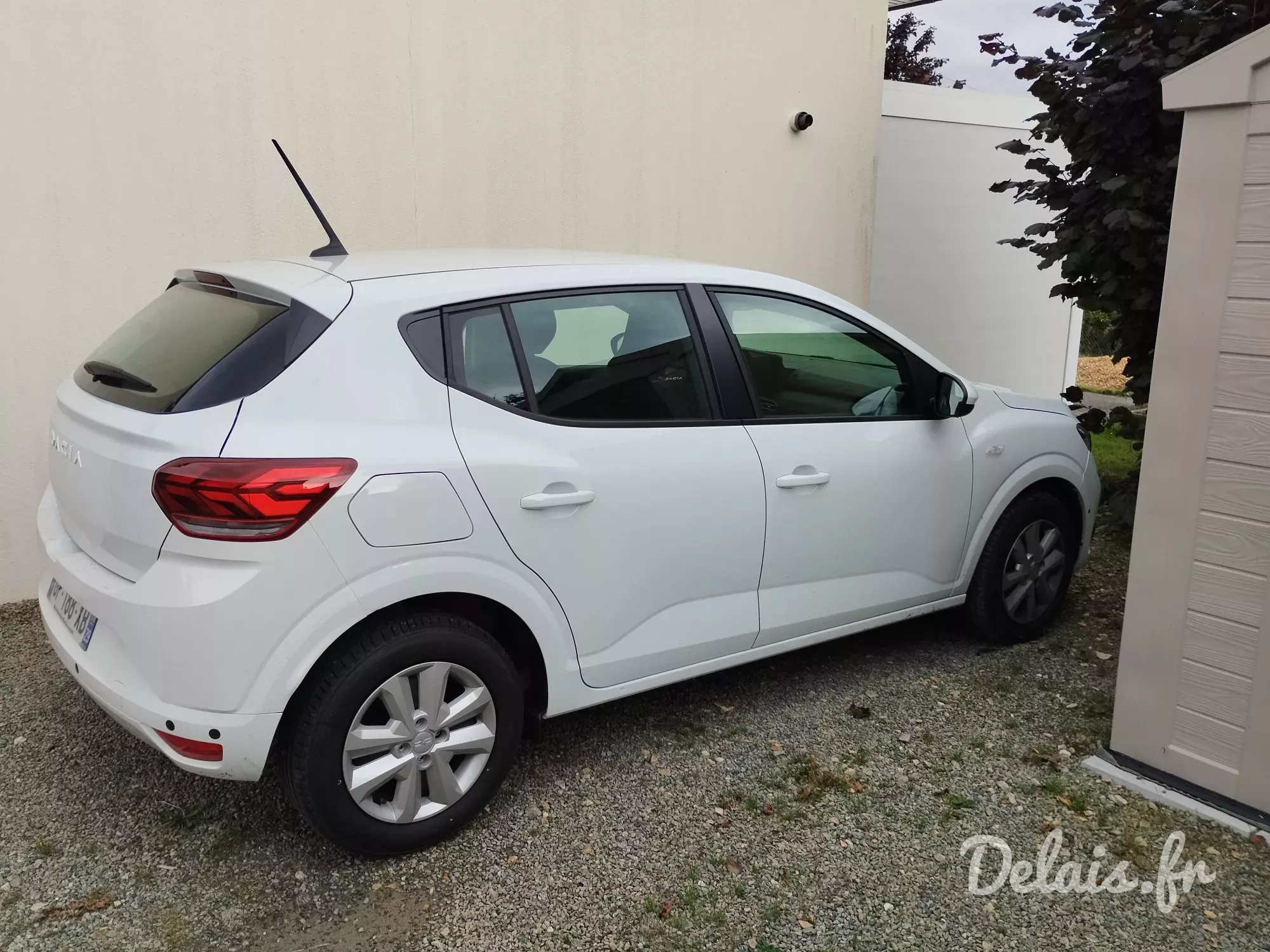 Dacia Sandero Blanc Glacier Expression