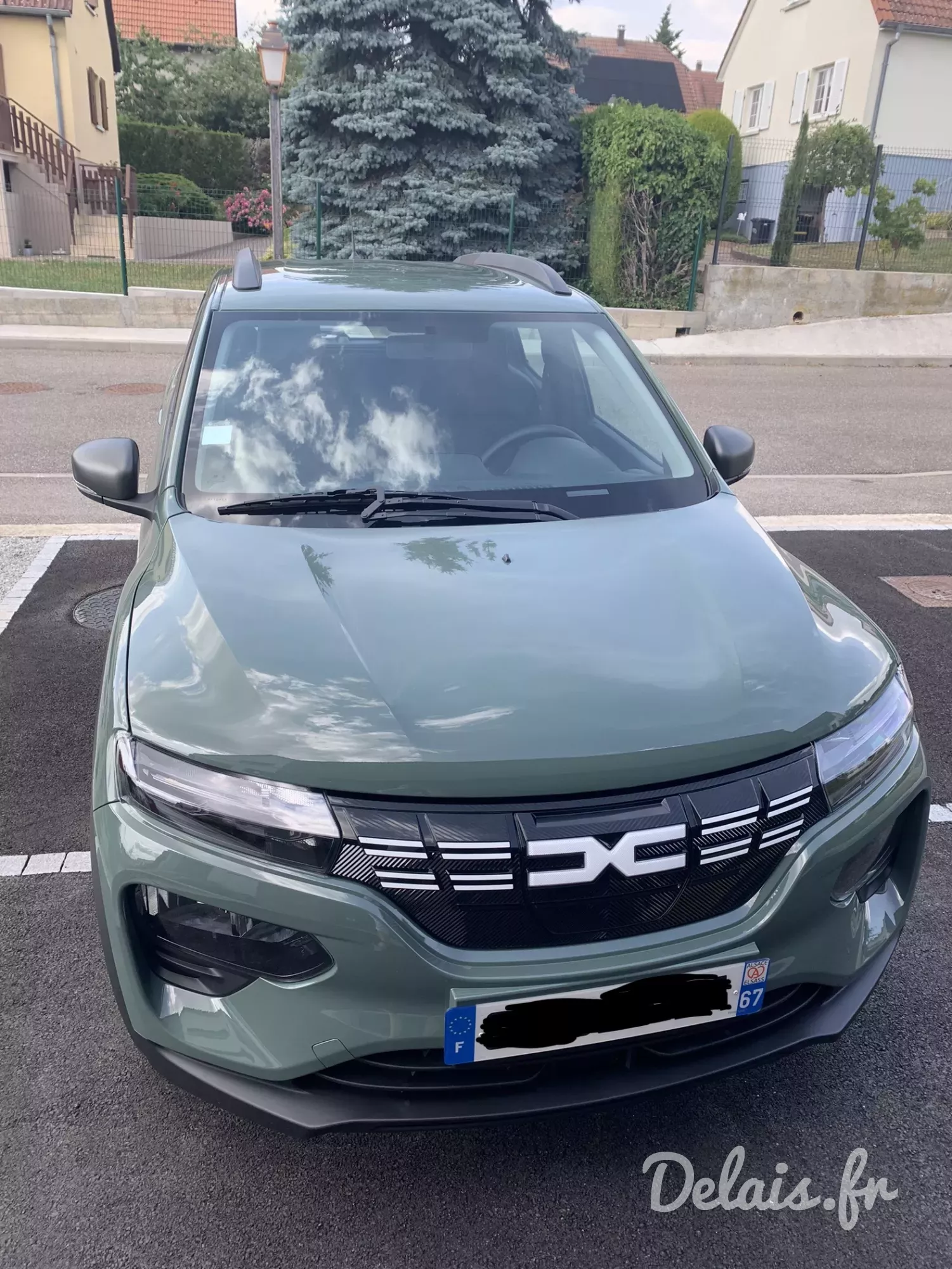 Dacia Spring Kaki Lichen Expression