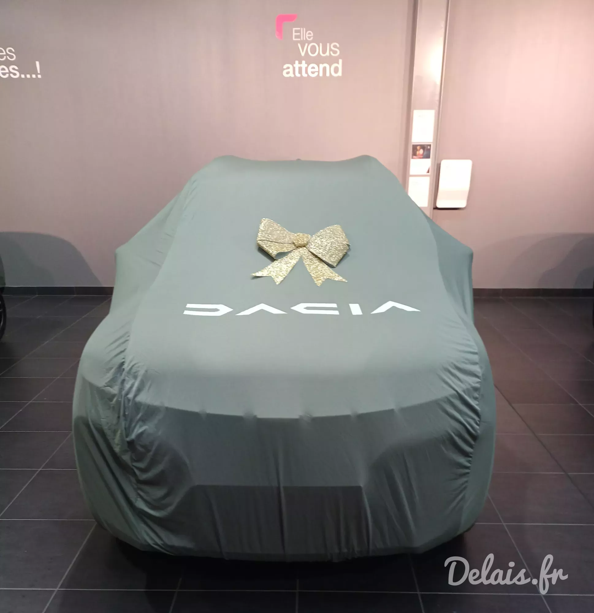 Dacia Spring Gris Eclair Confort Plus