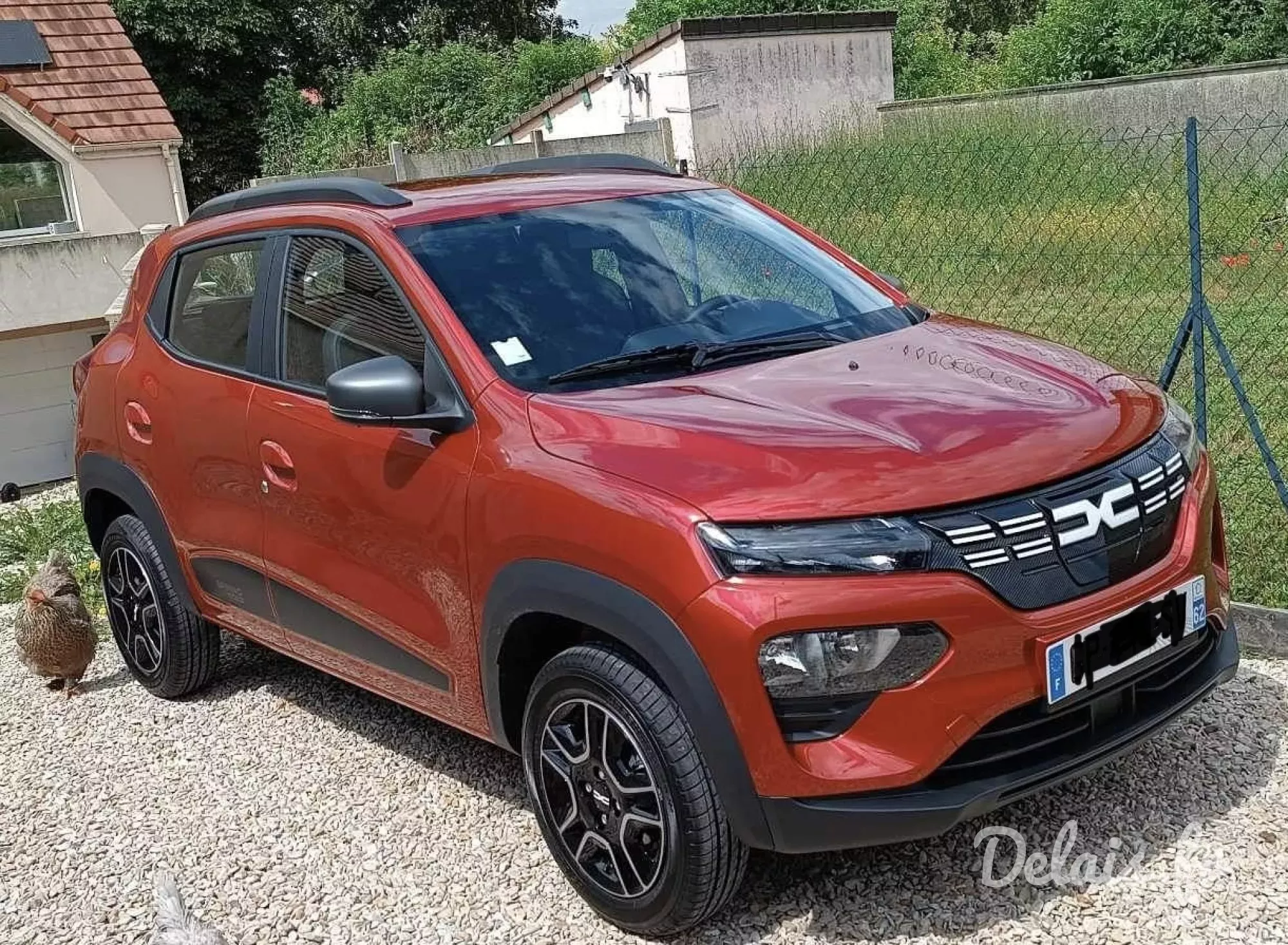 Dacia Spring Rouge Goji Expression