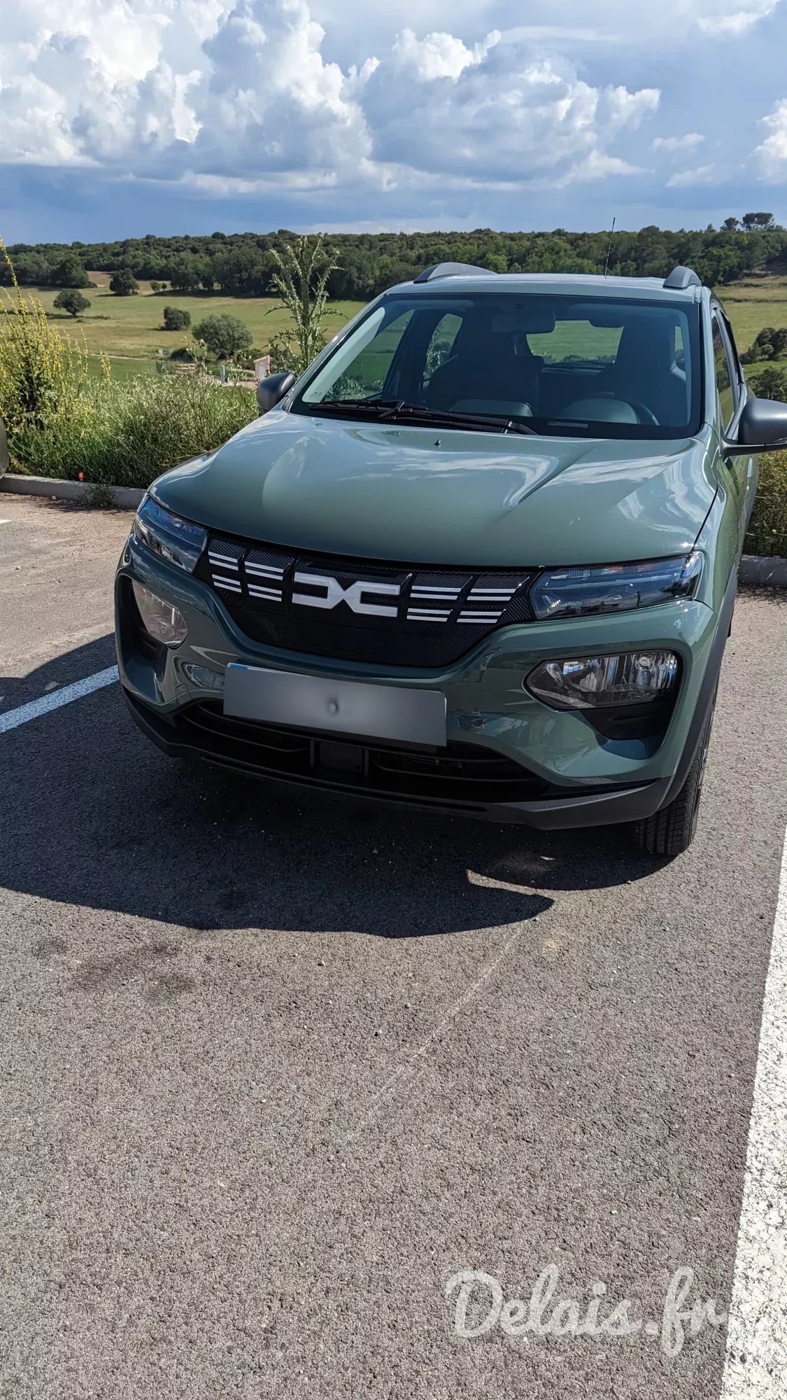 Dacia Spring Kaki Lichen Expression