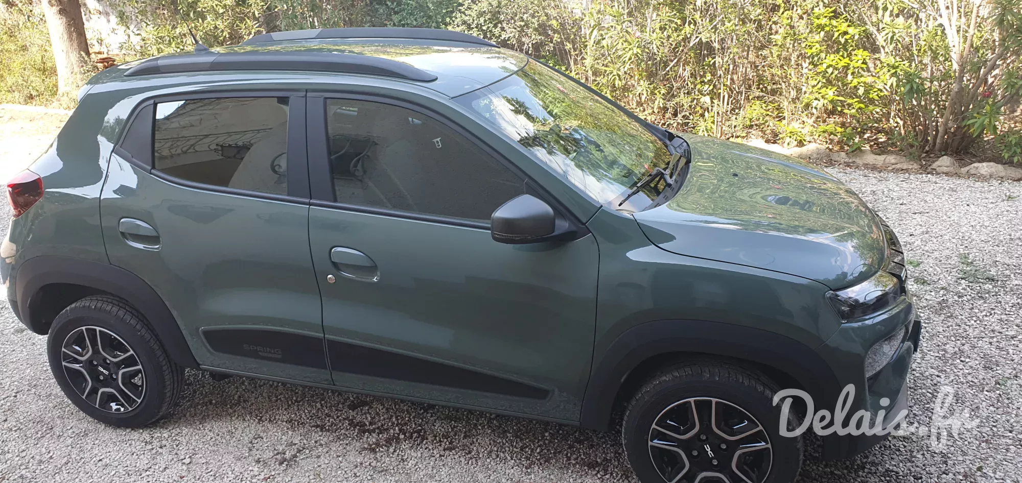 Dacia Spring Kaki Lichen Expression