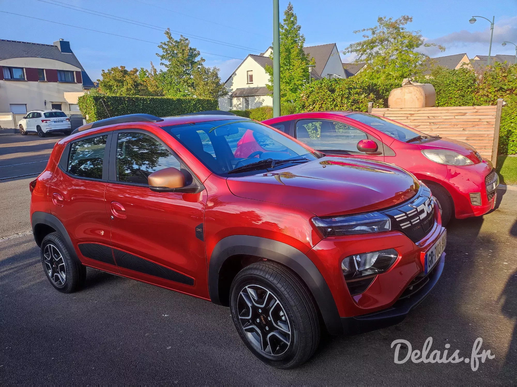 Dacia Spring Rouge Goji Extreme