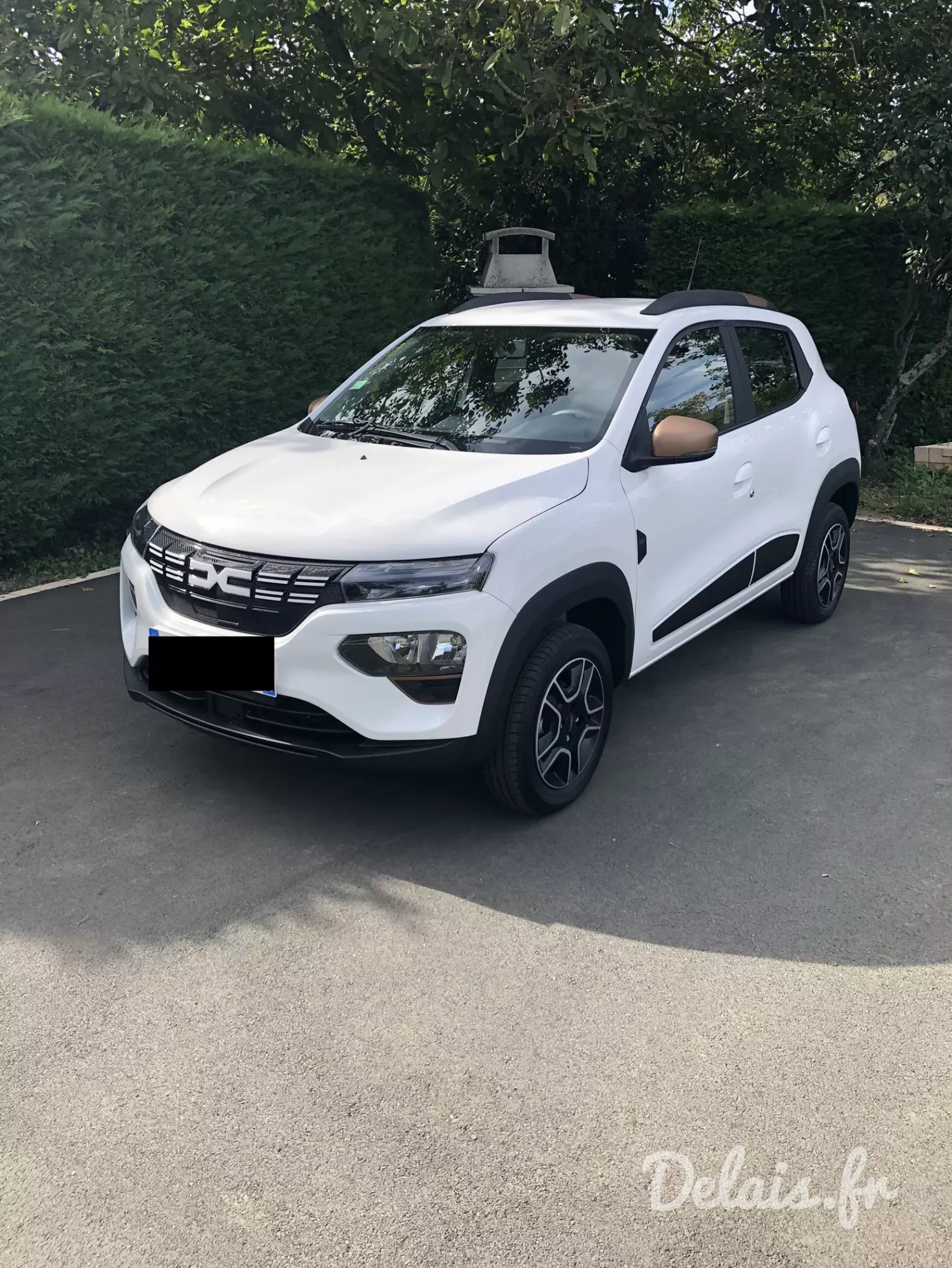 Dacia Spring Blanc Kaolin Extreme