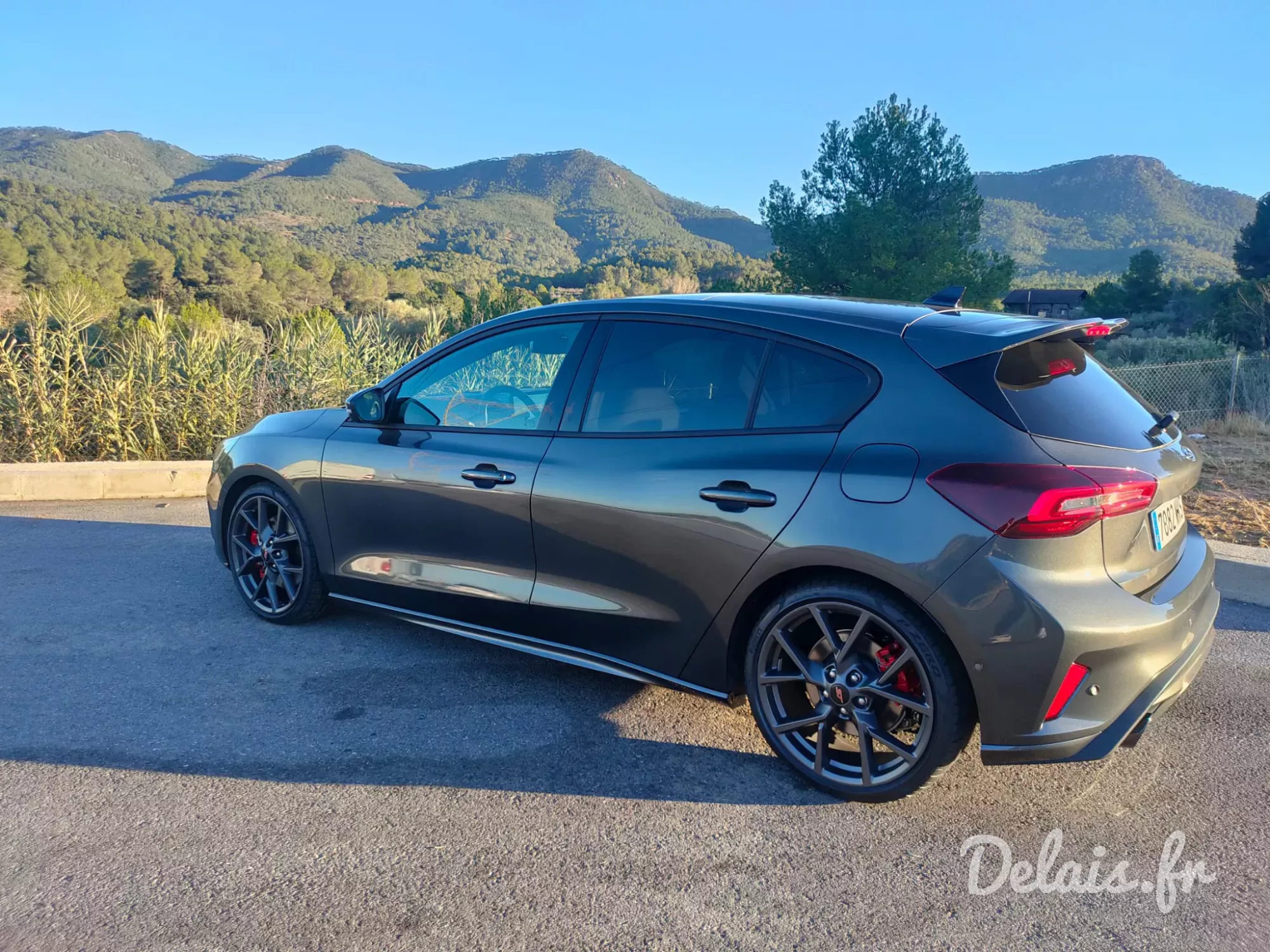 Ford Focus Gris Magnetic ST