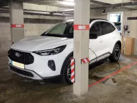 Kuga de marc