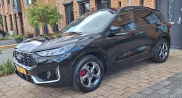 Kuga de Marcel